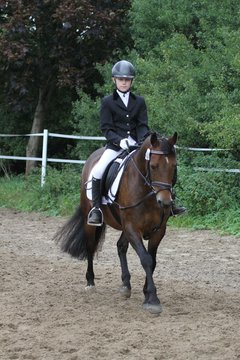 Bild 1128 - WBO-Turnier am 18.9.11